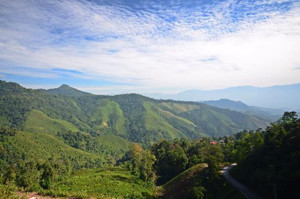 Doi Phu Kha National Park Nan Thailand