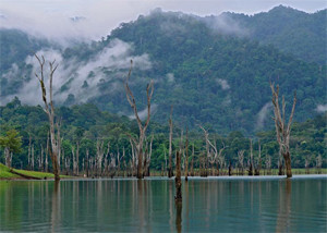 Khlong Saeng Wildlife Sanctuary Surat Thani Thailand